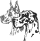 Allerlei